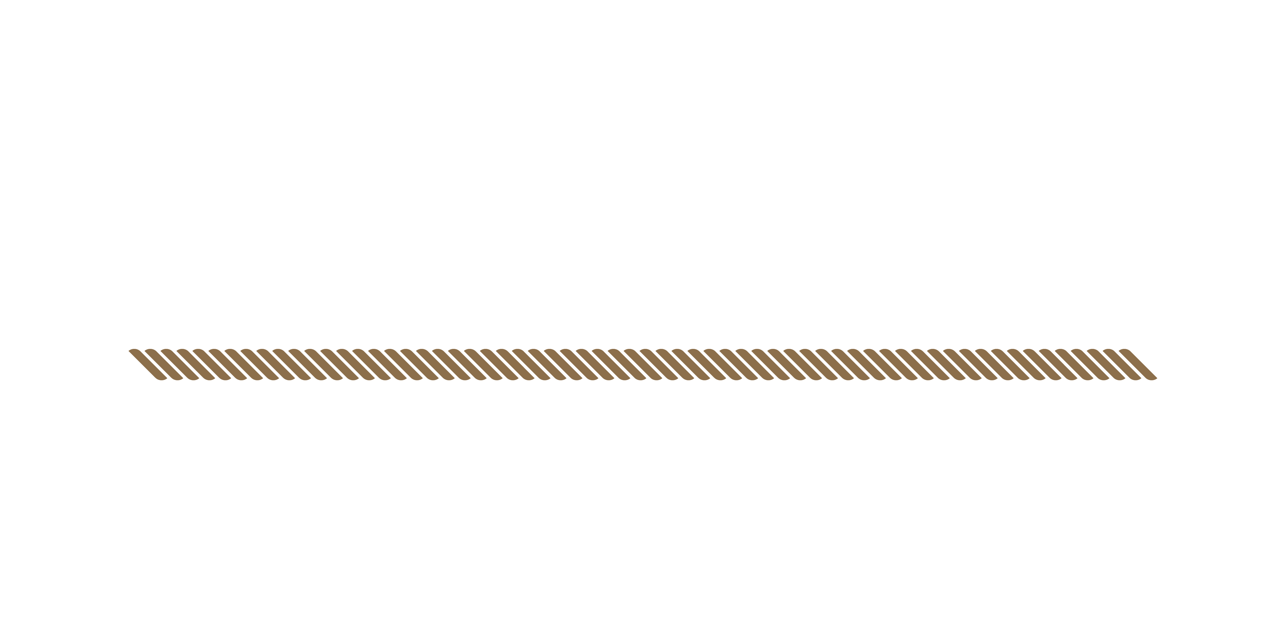 Bofort - logo - wit